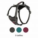 Harnais Anatomy Halti - gris