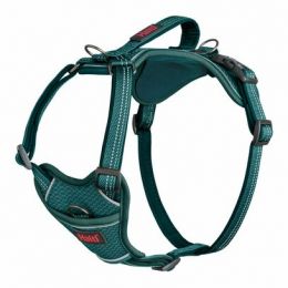 Harnais Anatomy Halti - vert