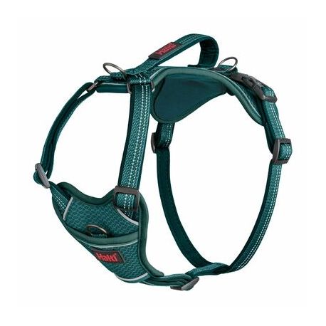 Harnais Anatomy Halti - vert