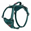 Harnais Anatomy Halti - vert