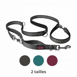 Laisse multi-position Anatomy Halti