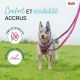 Laisse multi-position Anatomy Halti - gris
