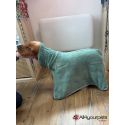 Grey Dry Dude Bath Robe