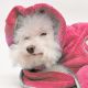 Sortie de bain Dry Dude - Candy Pink