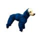 Complete waterproof raincoat - Short legs