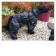 Complete waterproof raincoat - Short legs