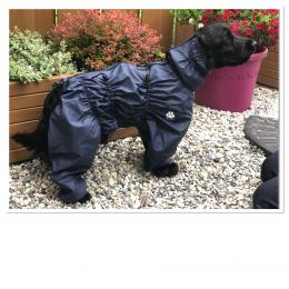 Nouveau modèle Manteau imperméable complet - Pattes courtes 