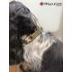 Collier en cuir Hunting Alu-Strong - Olive