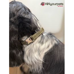 Collier en cuir nubuck Hunting Alu-Strong - Olive