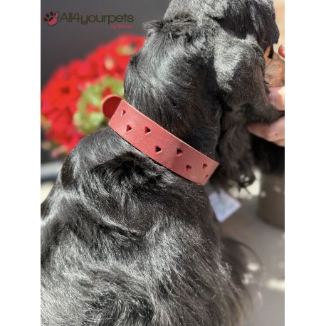 Collier en cuir Aalborg Special - Rouge