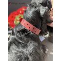Collier en cuir Aalborg Special - Rouge