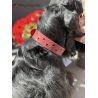 Collier en cuir Aalborg Special - Rouge