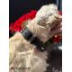 Collier en cuir Aalborg Special - Rouge