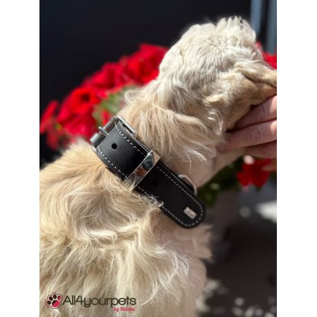 Collier en cuir Aalborg Special - Rouge