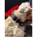 Collier en cuir Aalborg Special - Rouge