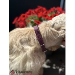 Collier en cuir « Sofia » - Framboise