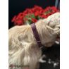 Collier en cuir « Sofia » - Rouge