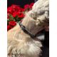 Collier en cuir « Sofia » - Rouge