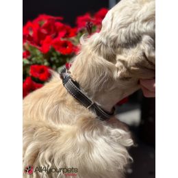 Collier en cuir « Aalborg » alu strong - Framboise