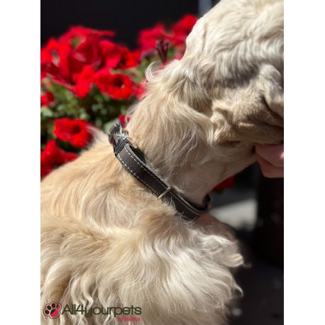Collier en cuir « Aalborg » alu strong - Framboise