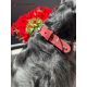 Collier en cuir Aalborg Special - Rouge