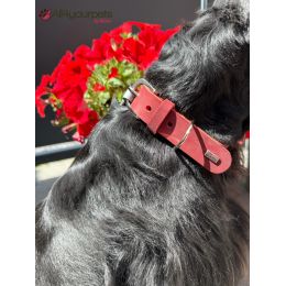 Collier en cuir Aalborg Special - Rouge