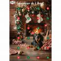 Calendrier de l'avent pour chien