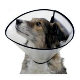 ollerette de protection pour chien - Anti-léchage post-opératoire 
