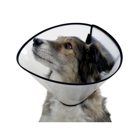 ollerette de protection pour chien - Anti-léchage post-opératoire 