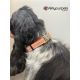 Handmade adjustable fabric collar, "Bow Tie" pattern 
