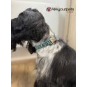 Handmade adjustable fabric collar, "Bow Tie" pattern 