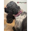 Handmade adjustable fabric collar, "Bow Tie" pattern 