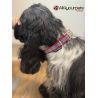 Handmade adjustable fabric collar, "Bow Tie" pattern 