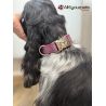 Handmade Leash, "Cream Decode" pattern, golden loop