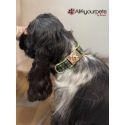 Handmade Leash, "Cream Decode" pattern, golden loop