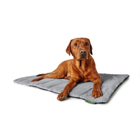 Couverture de voyage pour chiens Rockford