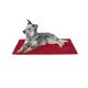 Tapis pour chien antisalisurre -Rouge