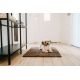 Tapis pour chien antisalisurre -Rouge