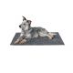 Tapis pour chien antisalisurre -Rouge