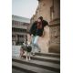 Pull-over pour chiens Genf - Anthracite