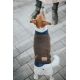 Pull-over pour chiens Odense avec bonnet 