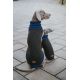 Pull-over pour chiens Odense avec bonnet (kit) - brun/bleu