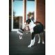 Jouet pour chiens Madrid 