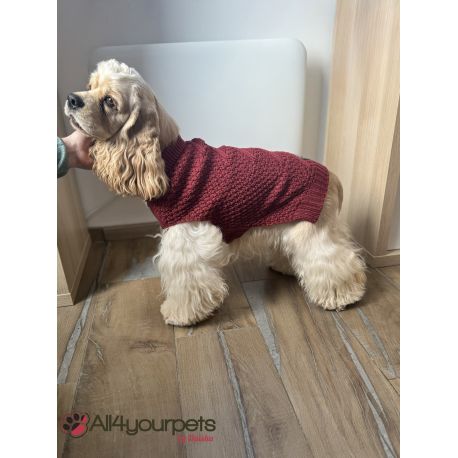 Pull-over pour chiens Malmö - Bordeaux