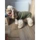 Pull-over pour chiens Malmö - Kaki