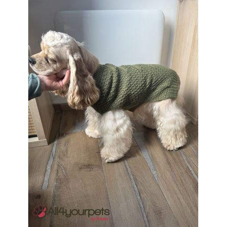 Pull-over pour chiens Malmö - Kaki