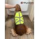 Gilet de haute visibilité pour chiens