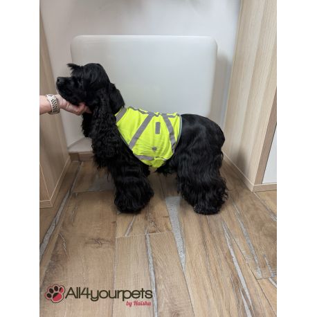 Gilet de haute visibilité pour chiens