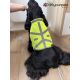 Gilet de haute visibilité pour chiens