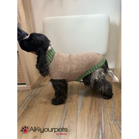 Pull-over pour chiens Odense avec bonnet (kit) - beige/vert
